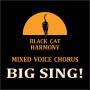 BIG SING!