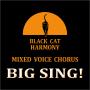 BIG SING!